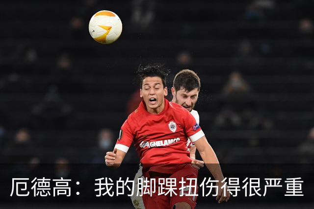 厄德高：我的脚踝扭伤得很严重